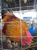 DSC08984