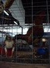 DSC08985