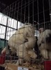 DSC08996