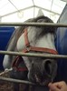 DSC09011