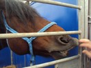 DSC09026