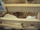 DSC09061