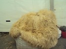 DSC09062