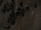 P1320372
