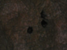 P1320376
