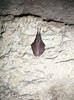 P1320393