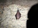 P1320394