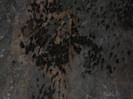 P1320400