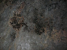 P1320401