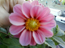my pictures- 23 oct 2011 002