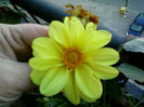 my pictures- 23 oct 2011 010