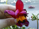 my pictures- 23 oct 2011 013