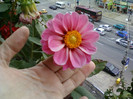 my pictures- 23 oct 2011 051