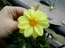 my pictures- 23 oct 2011 057