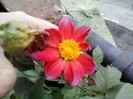 my pictures- 23 oct 2011 058