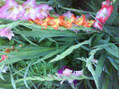 DSC06953