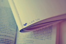~Notebook :x.`-Own maryseymizfan :].