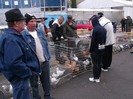 colegi de club la Heniu Bistrita