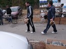 treaba noastra cum ii caram , nu??