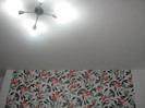 tati dfd 032