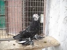 DSCN0034