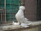 DSCN0036
