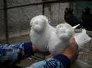 DSCN0038