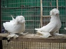 DSCN0039