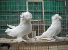 DSCN0043