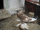 DSCN0053