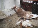DSCN0054