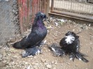 DSCN0055
