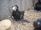 DSCN0058