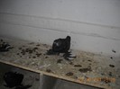 DSCN0078