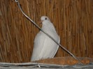 DSCN0135