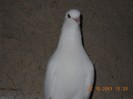 DSCN0136