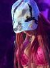 images (13)