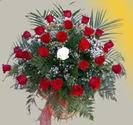 images (22)