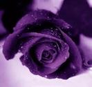 images (44)