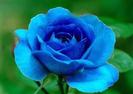 images (49)