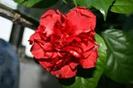 images (61)