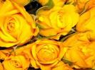 images (62)