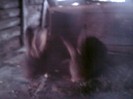 DSC01505