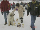 INTERNATIONAL CHAMPIONSHIP 2002 FINALS BIS RODICA DE BUTTE- GERMANY