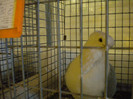 Picture 008