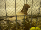 Picture 054