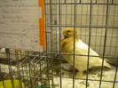 Picture 091