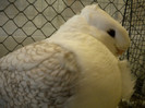 Picture 114