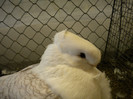 Picture 115