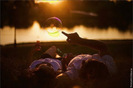 tumblr_lq48t5NG7z1qb4w54o1_500